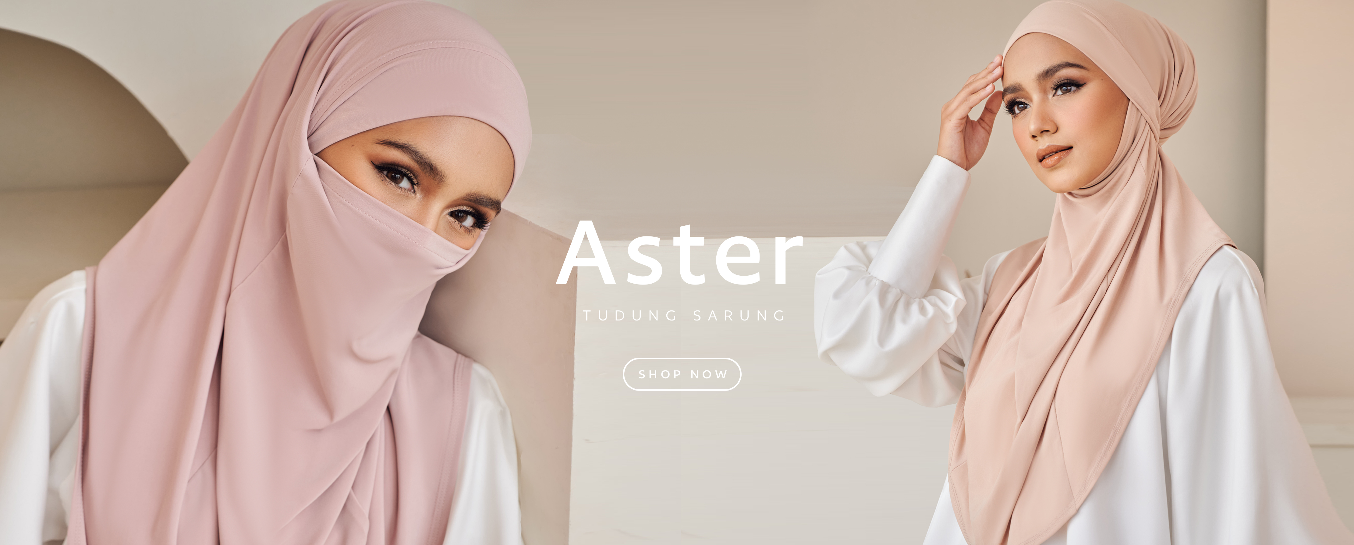 ASTER TUDUNG INSTANT